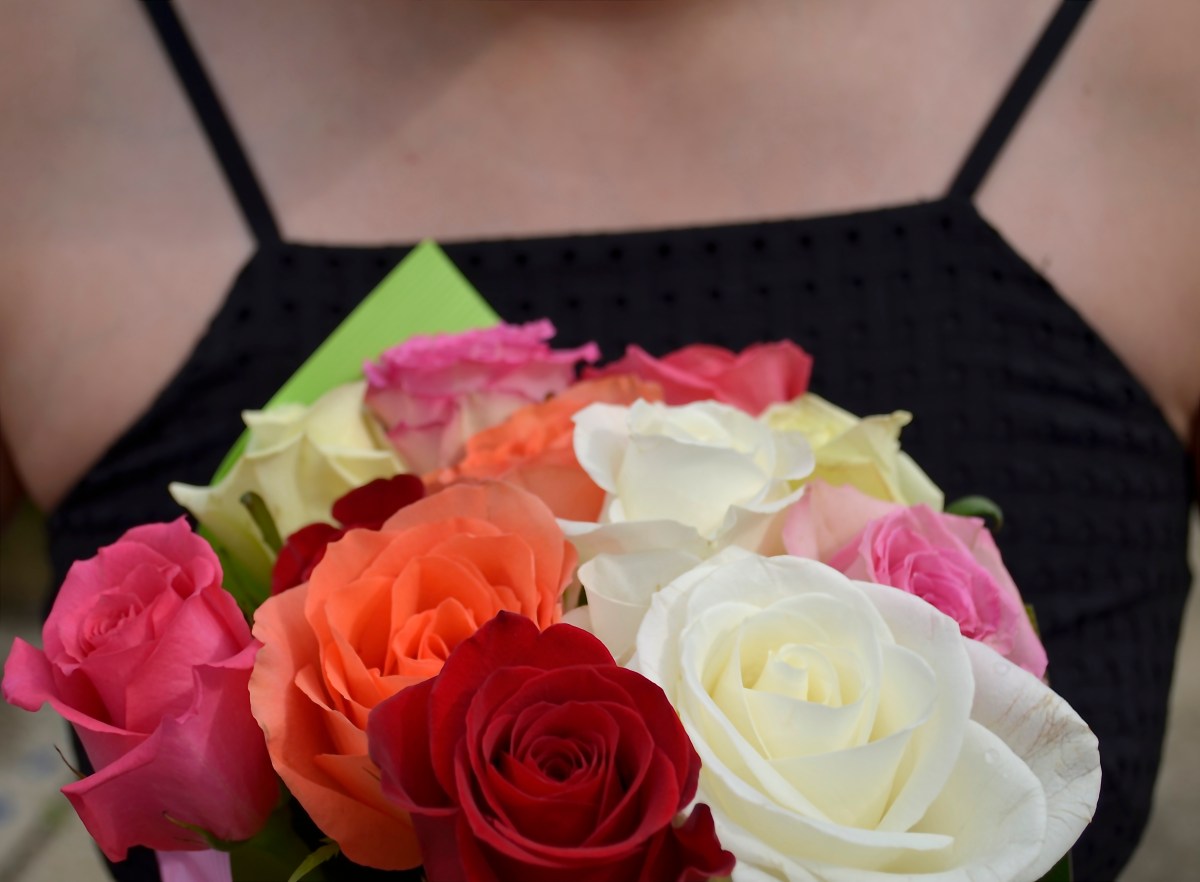 Stop and Smell the&nbsp;Roses